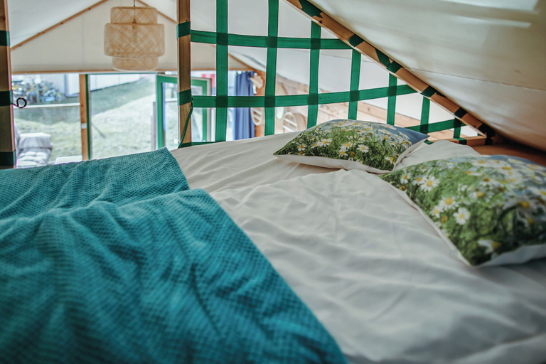 Room 2, Herbals Glamping domki na drzewie Mielno, Koszalin