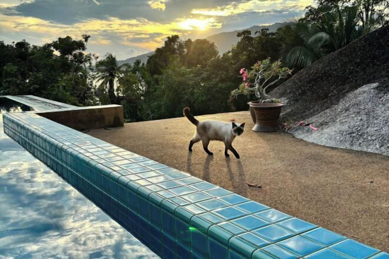 Others 5, Grand view @lamaibeach, Ko Samui