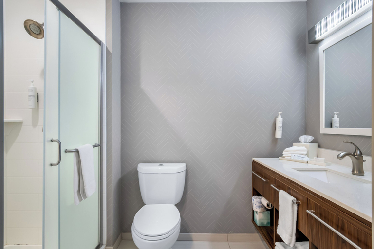Bathroom 4, Home2 Suites by Hilton Fort Worth Northlake, Denton