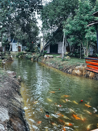 Others 5, Licuala Chanthaburi - Licuala, Chanthaburi (A1), Makham