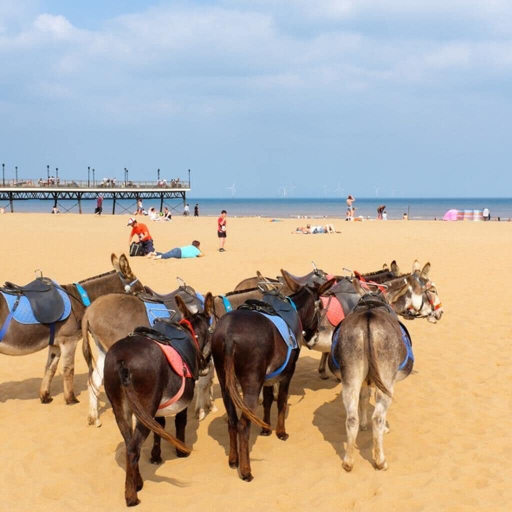 Beach 5, Seaside Caravan , Free Wifi , Pet Friendly, Lincolnshire