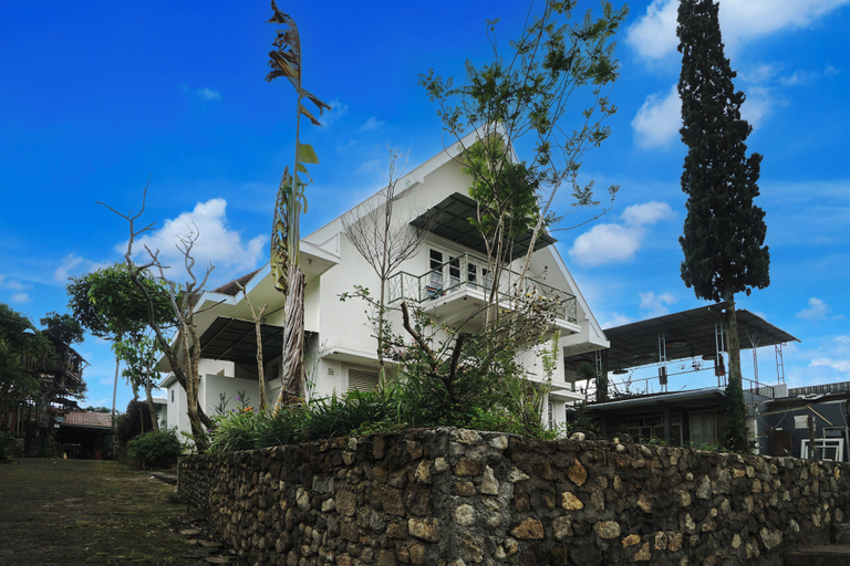Primary image