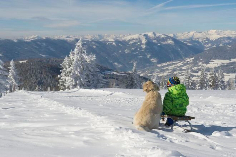 Snow and ski sports 5, Luxescape-No 2306-Traumaussicht-Ski & Wandergebiet-Paragleiten-Langlauf-Parkplatz, Villach Land