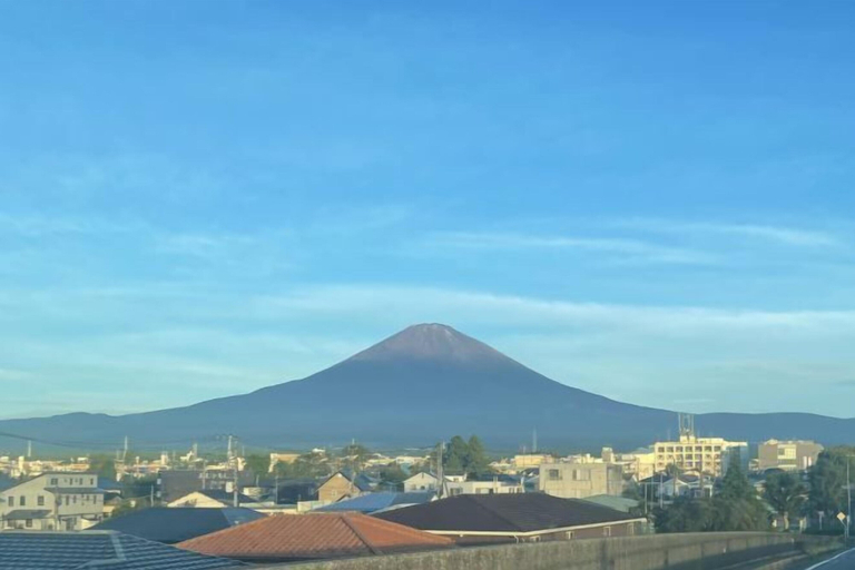 Miscellaneous 2, Noctarium - MountCinema, Gotemba