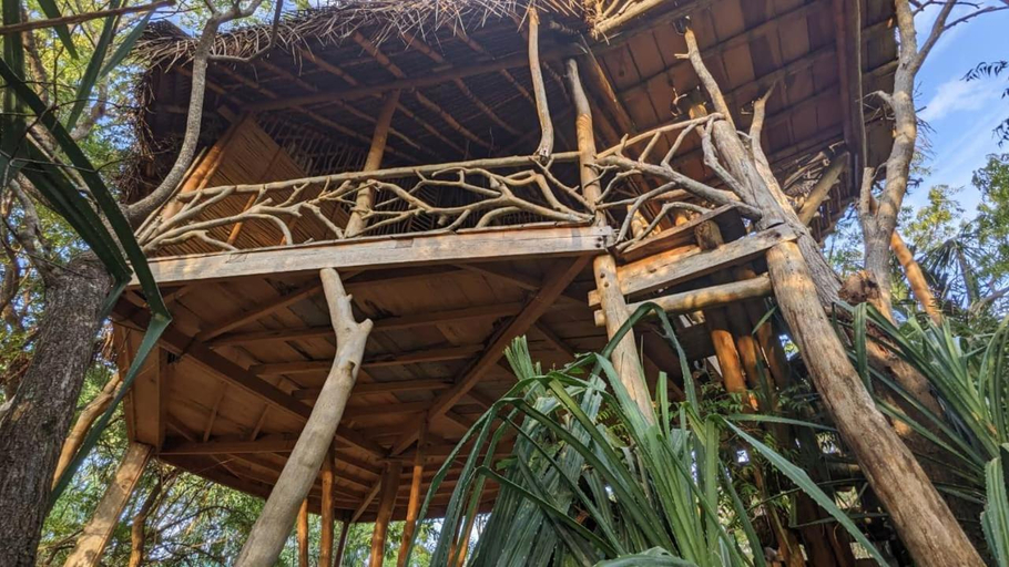 Others 5, The Alpha monkey tree house, Tangalle
