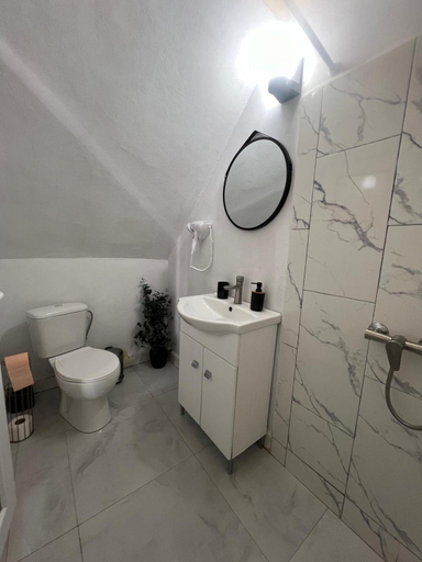 Bathroom, Casa Mari, Cartisoara