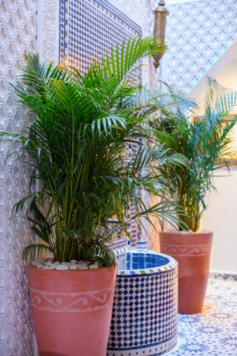 Others 4, Dar Al Jeld Luxurious Riad Center Rabat, Rabat