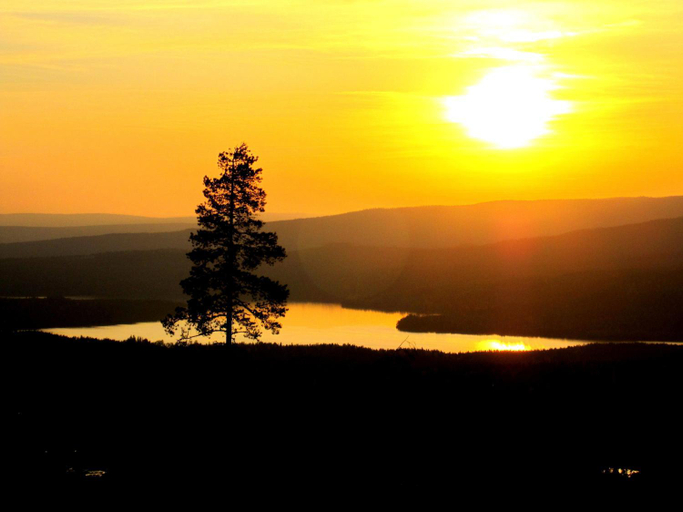 Surrounding environment 2, Perfect House for Groups, Many Facilities, 14 Miles From Skiarea Branas, Torsby