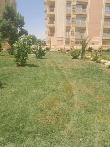 Others 2, Quiet & Fully Equipped Private Room, New Cairo, New Cairo 3