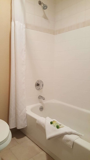 Bathroom, Shilo Inn Elko Suites, Elko