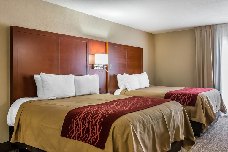 Bedroom 3, Comfort Inn, Chatham
