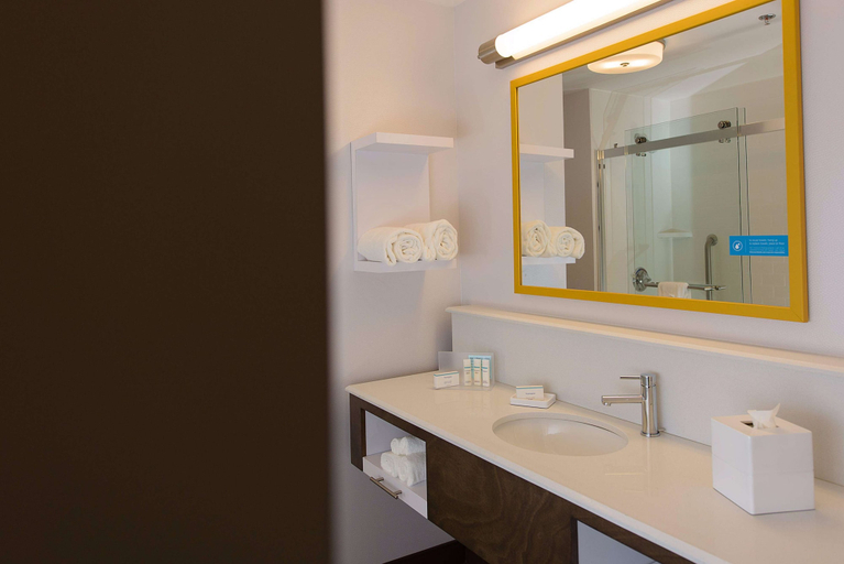 Bathroom 3, Hampton Inn Superior Duluth, Douglas