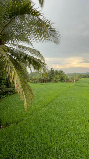 2, Lalie’s Inn , Batuan