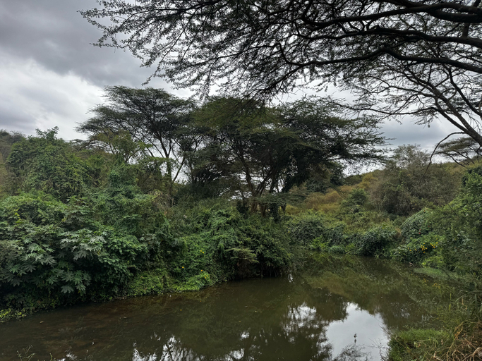 BBQ/picnic area, Koki Lodge, Kajiado East