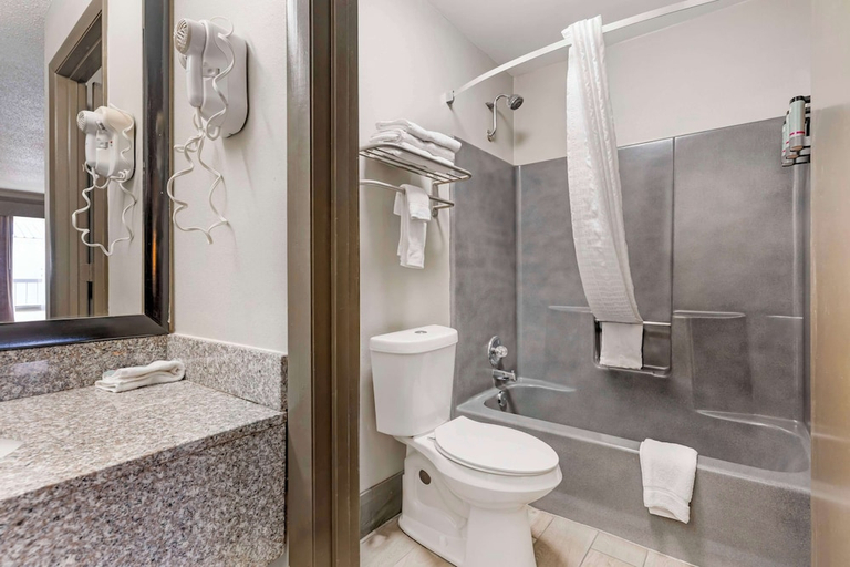 Bathroom 4, Best Western Royal Inn, Hamilton