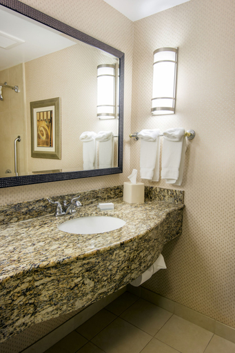 Bathroom 4, Hilton Garden Inn Billings, Yellowstone