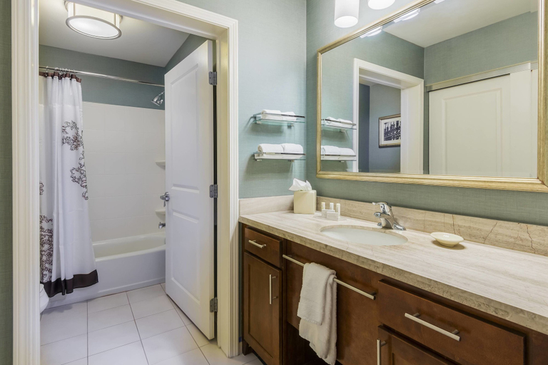 Bathroom 5, Residence Inn by Marriott Savannah Downtown/Historic District, Chatham