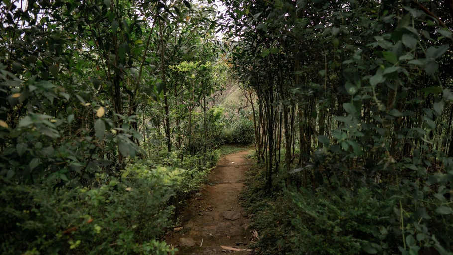 Others 5, Little Flower Farms, Idukki