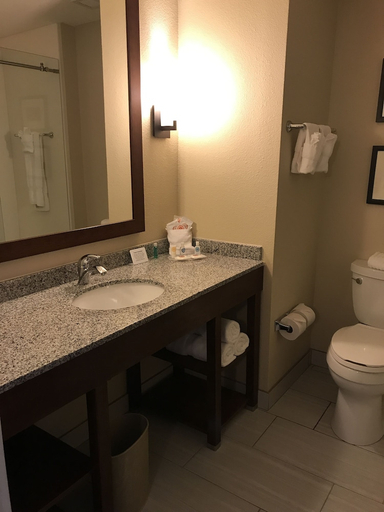 Bathroom 4, Comfort Suites Dodge City, Ford