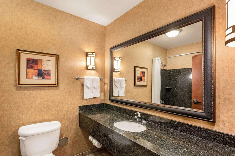 Bathroom 4, Comfort Suites Moses Lake, Grant