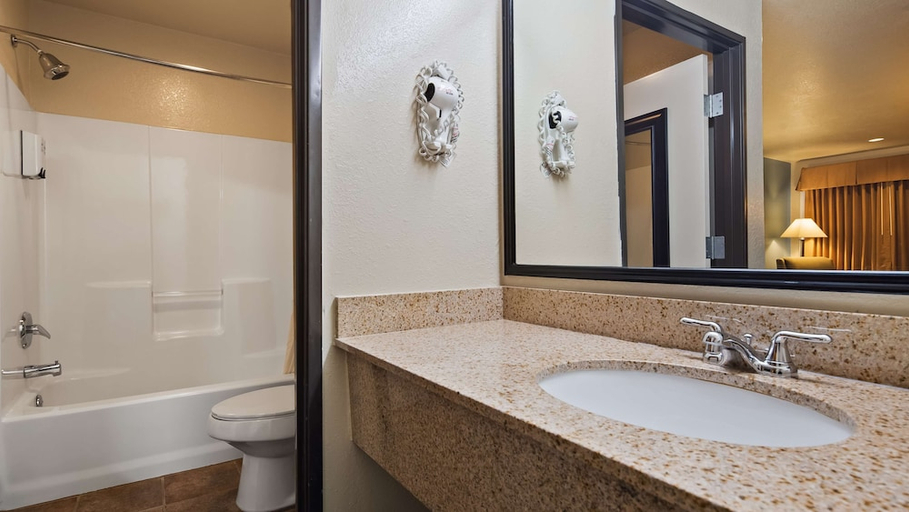 Bathroom 4, Best Western Regency Inn & Suites, Gonzales