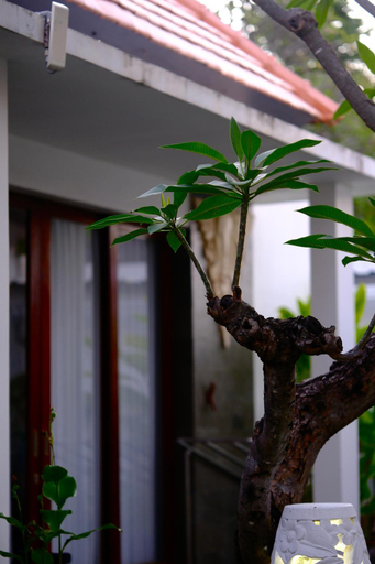 Others 5, Alba Tulamben, Karangasem