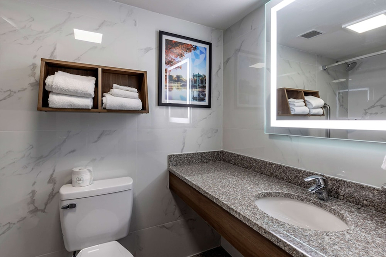 Bathroom 4, Best Western Plus St. Louis West-Westport, Saint Louis