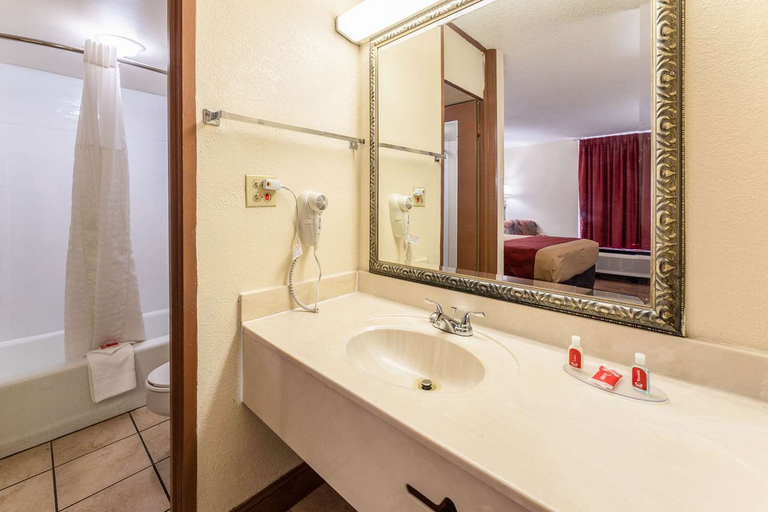 Bathroom 4, Econo Lodge  Inn & Suites Macon West, Bibb