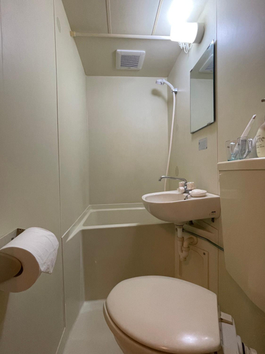 Bathroom 2, Home Story in Tokyo KANAMETYOU&Ikebukuro-Ginnzaまで直通&東京屋語, Toshima