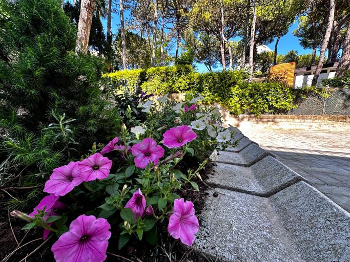 Others 5, Villa Greif Pineta Apartment, Udine
