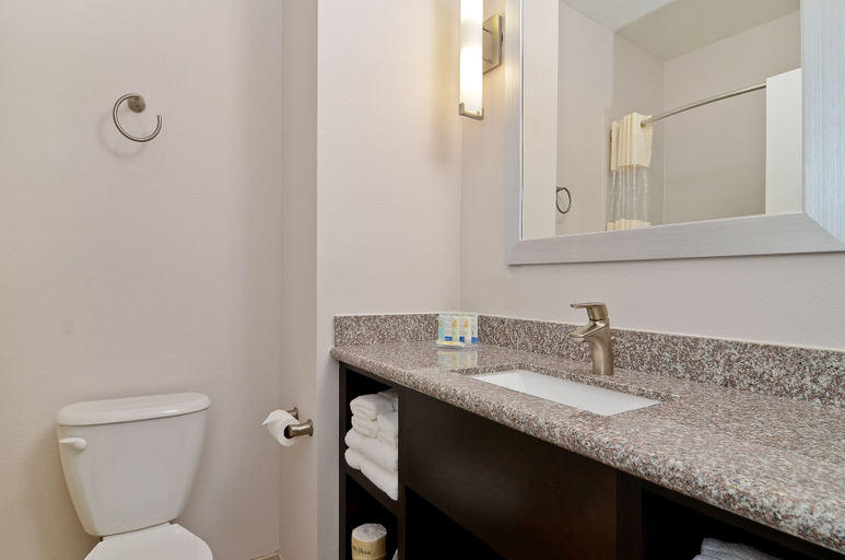 Bathroom 4, Quality Inn & Suites Bryan-College Station, Brazos