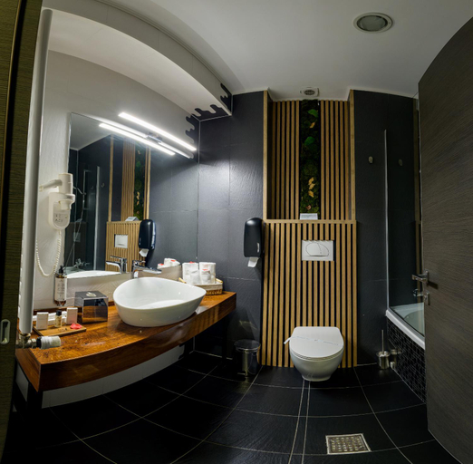 Bathroom 5, HOTEL CARPAT INN, Azuga