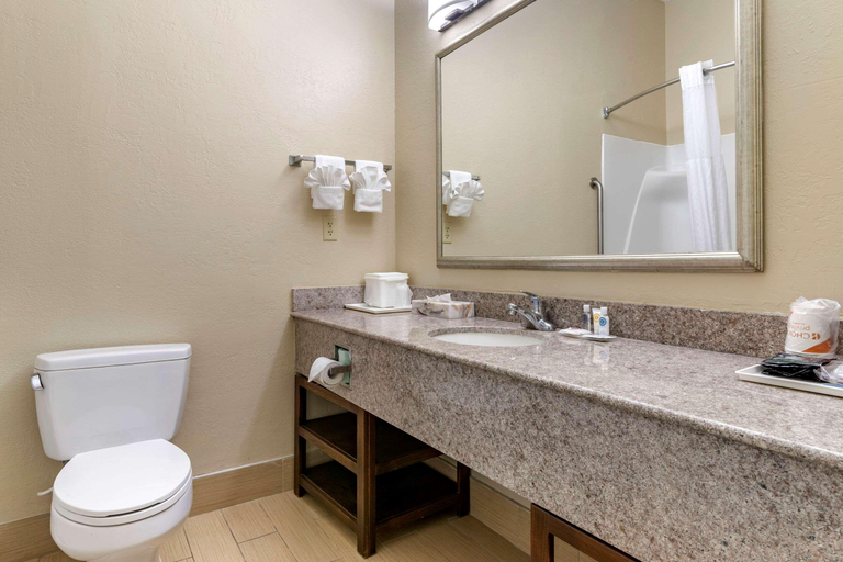 Bathroom 5, Econo Lodge Douglassville-Pottstown, Berks