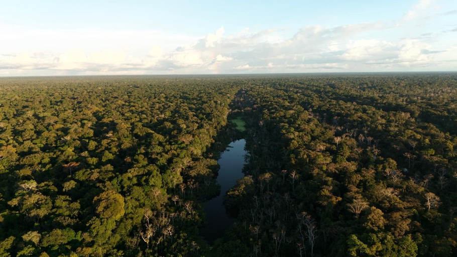 Exterior 4, Amazon Jungle Expeditions Lodge, Maynas