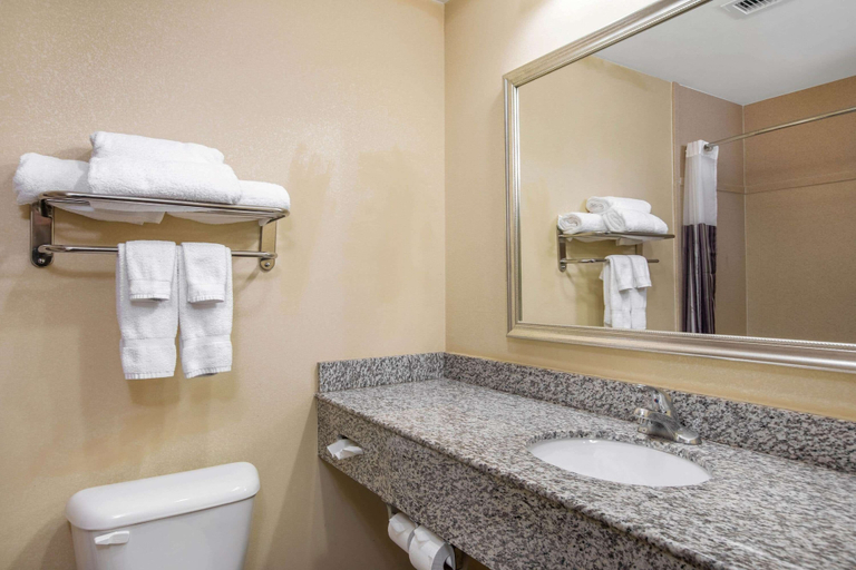 Bathroom 3, La Quinta Inn & Suites by Wyndham Conway, Faulkner