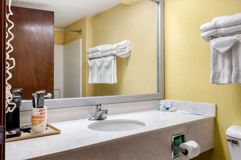 Bathroom 4, Quality Inn High Point - Archdale, Randolph