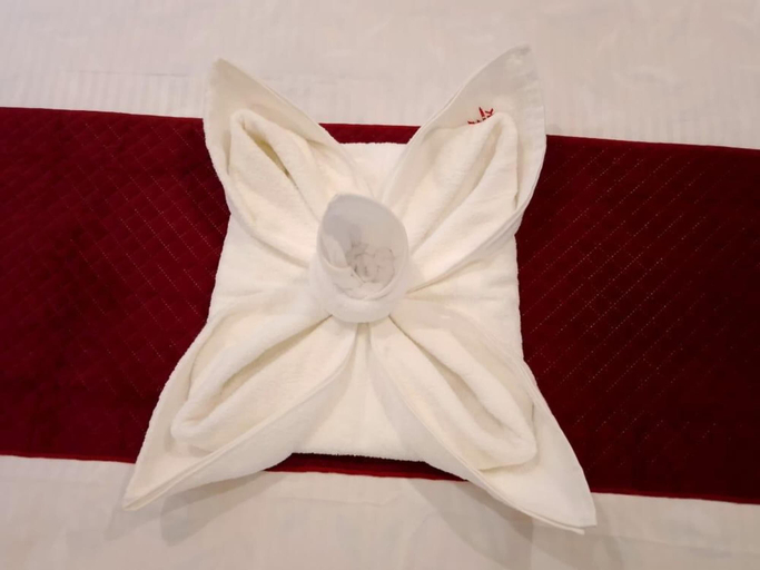 Room 2, Hotel Kamla Kishan, Sikar