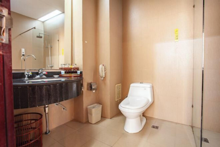 Bathroom 3, Taoyuan International Hotel, Yuncheng