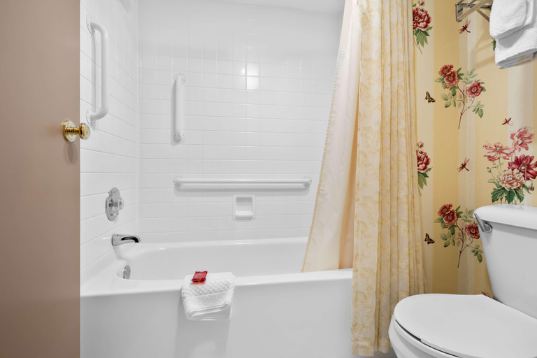 Bathroom, SureStay Plus by Best Western Brandywine Valley, New Castle
