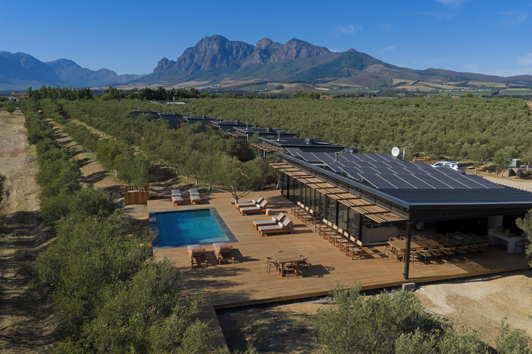 Exterior 4, Olijvenkraal Winelands Lodge, Cape Winelands