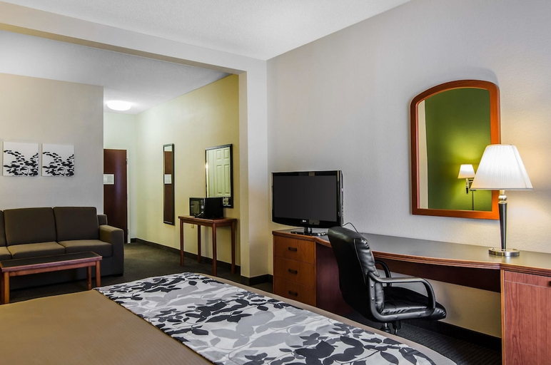 Bedroom 2, Sleep Inn & Suites Danville Hwy 58, Danville