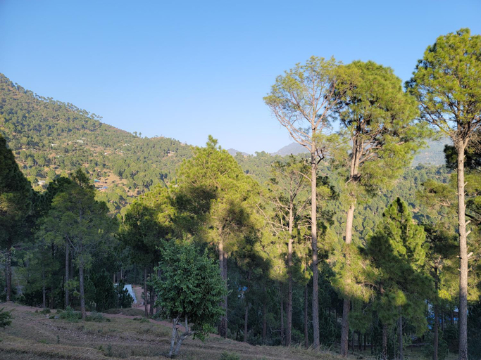 Others 4, Galaxy Hill Resorts Murree, Residence inn GHR9320, Rawalpindi