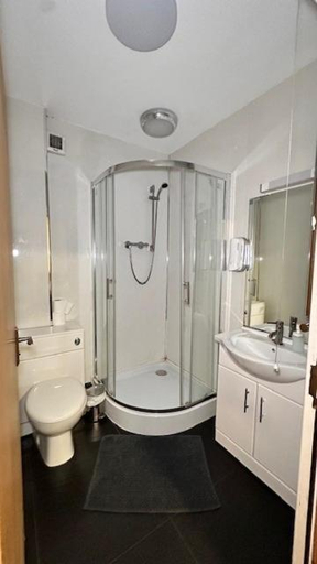 Bathroom 3, Shanahans B&B with Sports Bar, Birmingham