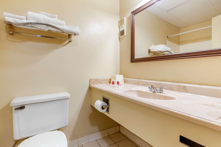 Bathroom, Econo Lodge Burlington I-40, Alamance