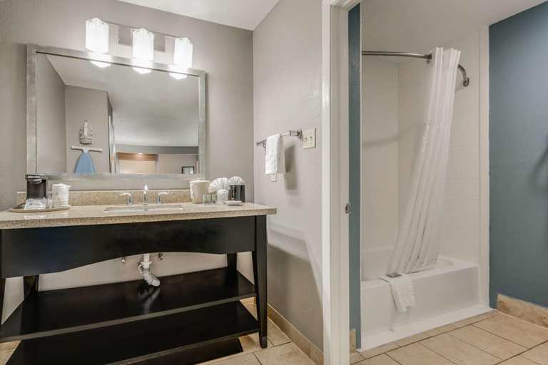 Bathroom 4, Clarion Pointe, Walker