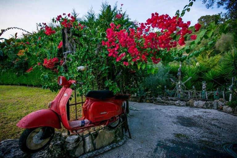 Others 5, Gigi Star Tatiana Luxury Apartment, Ionian Islands
