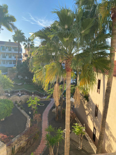 Others 3, Tropical garden, sunshine, heated pool, Santa Cruz de Tenerife