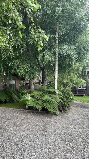 Exterior, Cabañas Los Laureles - Licán Ray, Cautín