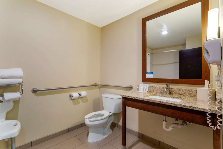 Bathroom 4, Comfort Suites Kingsport, Sullivan