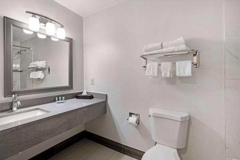 Bathroom 4, Best Western Morton Inn, Tazewell
